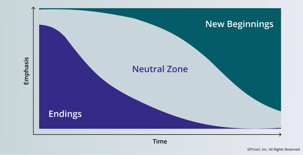 A diagram of the Bridges transition model